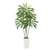 1829 Mm Artificial Dracaena Tree Fake Plant with White Planter Indoor