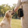 Spænde Design Kæledyrstræning Snackpose Lærred Hundegodbidstaske Multifunktionel Hundefodertaske Bærer