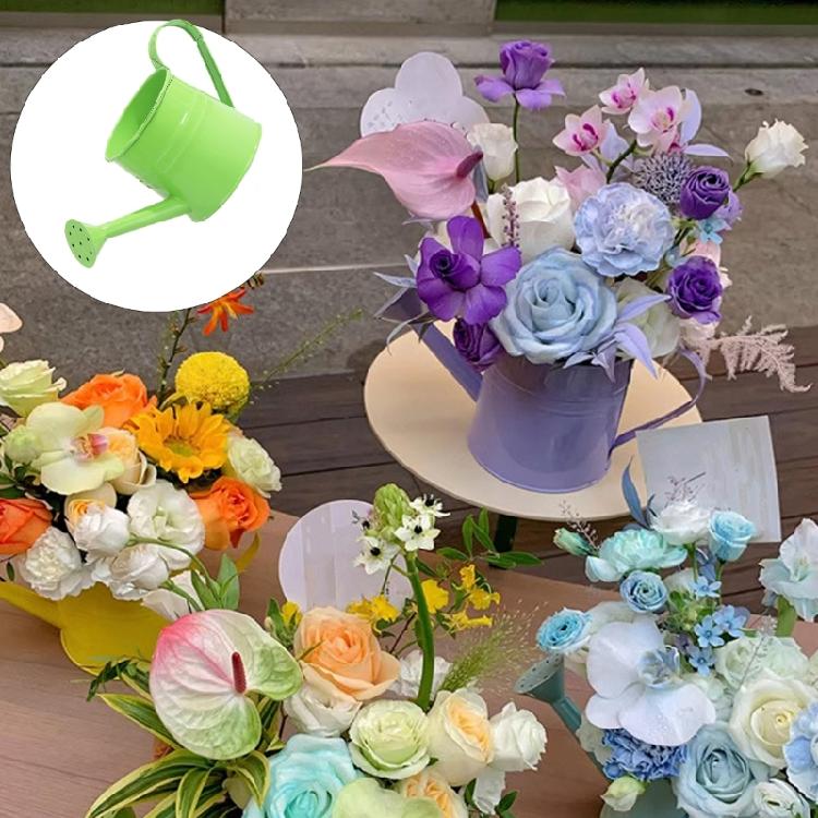 Kovová konvička Malá zahradní konvička s pohodlnou rukojetí Dlouhá hubice Konvička na zalévání pro vnitřní i venkovní použití