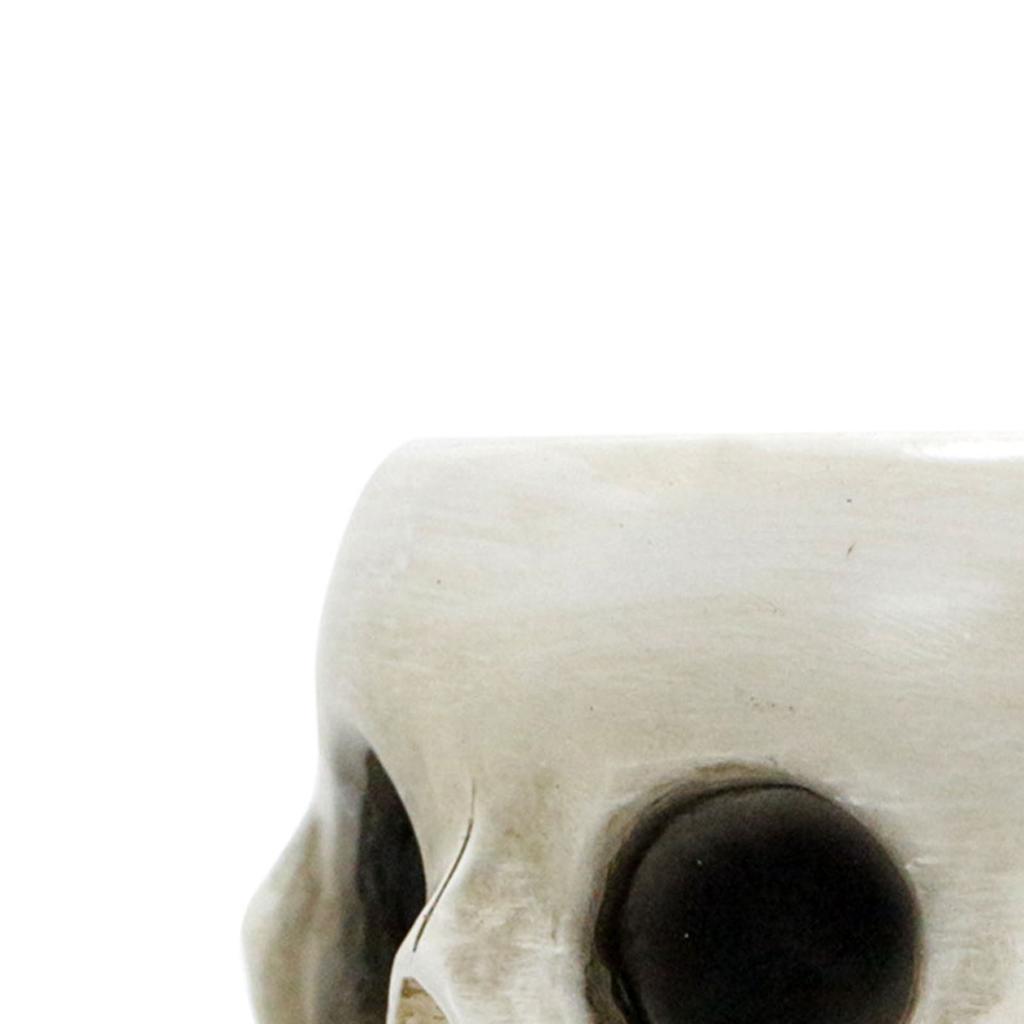 Wielopłaszczyznowa Czaszka Doniczka Ozdoby Żywica Dom Ogród Horror Dekoracja Czaszki Krajobraz