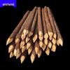 Sharpened Fir Wood Stakes