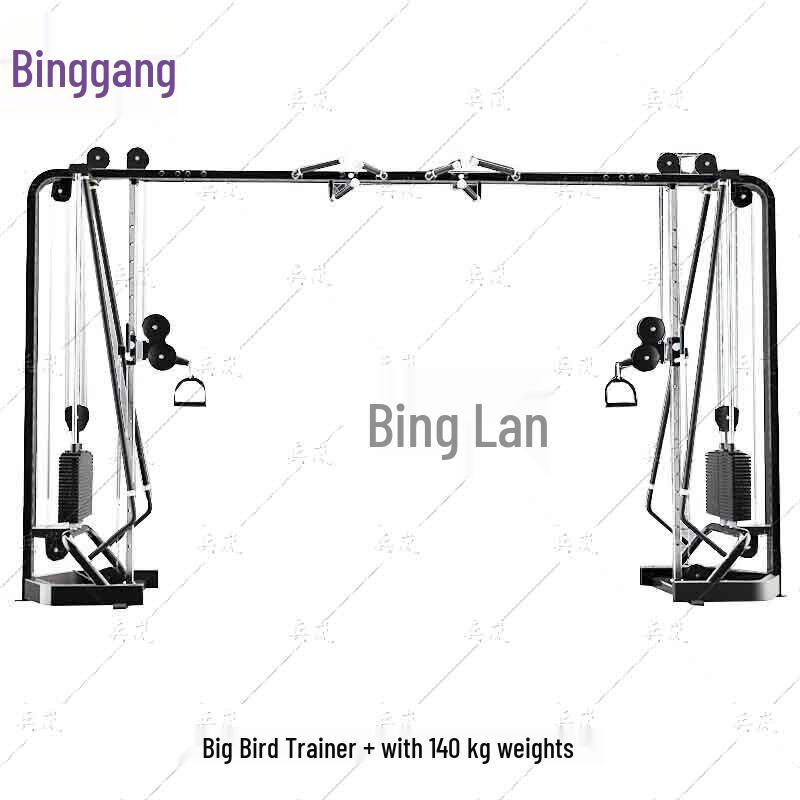 Binglan Commercial Fitness Gantry Trainer