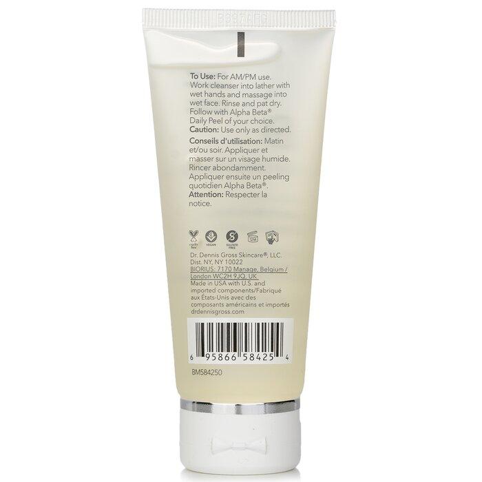 DR DENNIS GROSS Alpha Beta AHA/BHA Daily Cleansing Gel