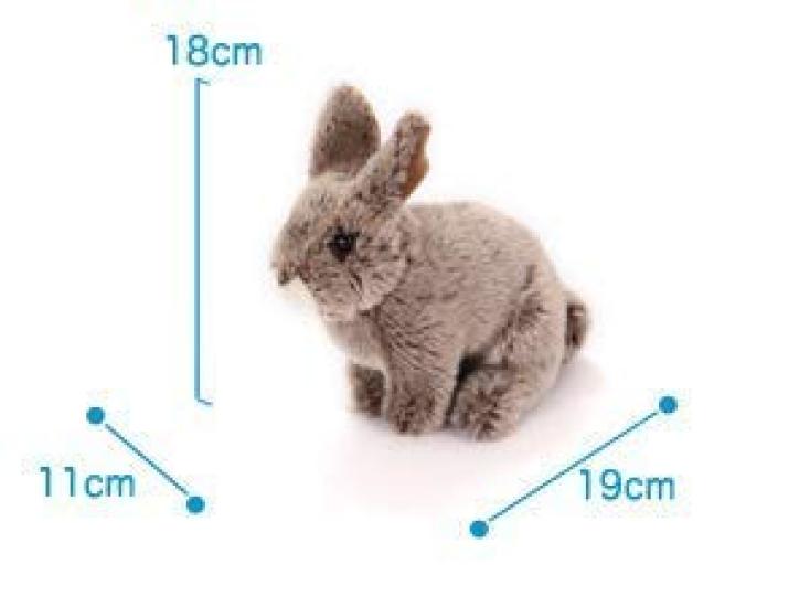 Carolata Japanese Rabbit Plush Toy (Real Animal BabySoft to the Touch) Real Rabbit Animal Baby Toy Doll Gift Present Birthday (Checked twice) 
