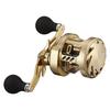 Daiwa 21 Basara 100