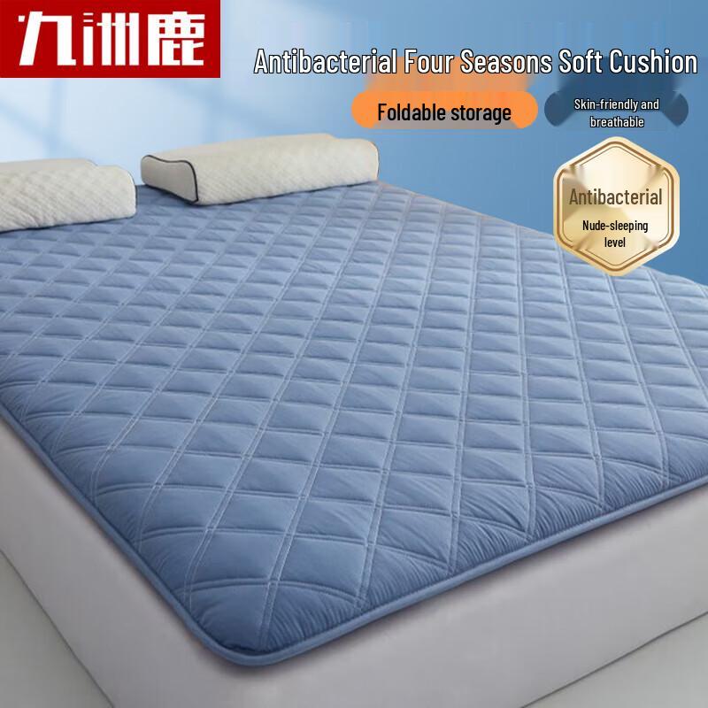 Jiuzhoulu Four Seasons Foldable Anti-slip Mattress Pad