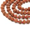 10 Mukhi Indonesian Rudraksha Mala 108+1 Beads |Spiritual Healing Necklace| Meditation Yoga Mala |Authentic Rudraksha Mala for Men & Women