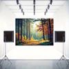 2D Nature Scenic Backdrop, Autumn Forest & Sunlit Path Party & Live Background