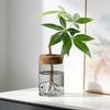 Glass Plant Propagation Station Clear Mountain Hydroponic Planter Artistic Flower Vase Plant Propagation Jar for Home Living Room Bedroom Desktop