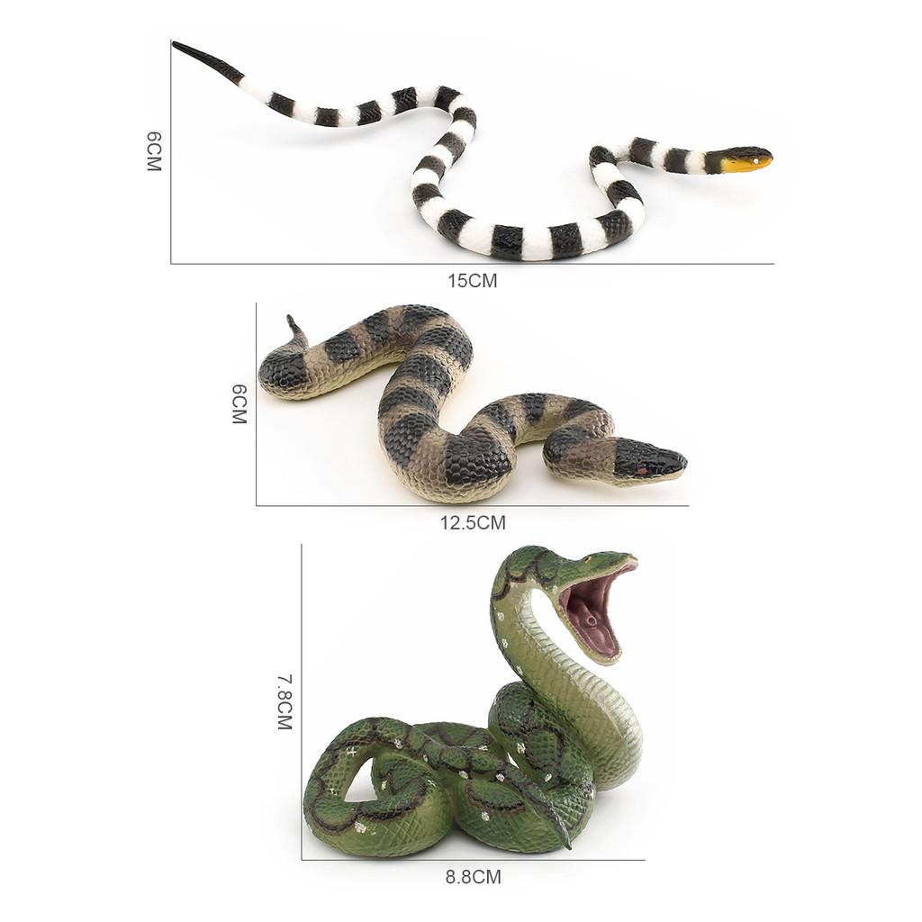 Realistic Snake Model Pvc Reptile Figure For Kids Educational Display And Decor