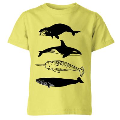Na górę – T-shirty i koszulki