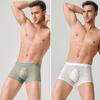 See Through Men Underwear Sexy Convex Boxers Transparent Soft Briefs