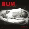 Bum - Dandelion Song