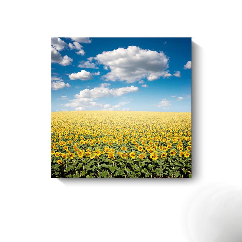 Moderne Sonnenblumen-Leinwandmalerei, nordische Landschaft, HD-Bilder, Blumenplakate und -drucke, Wandkunst, Bilder, Wanddekoration, kein Rahmen