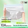Culotte Antibactérienne en Soie Glacée pour Femmes Grande Taille (200 à 300 livres) - Été Fin 10A