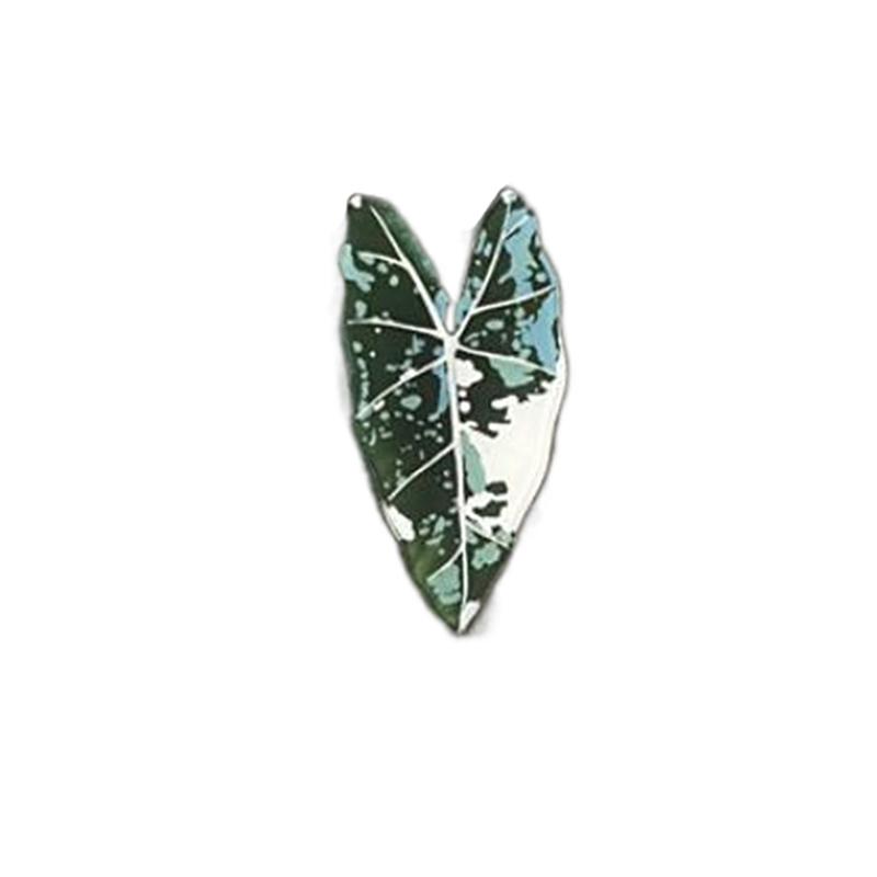 Cute Begonia Monstera Refrigerator Magnets, Kawaii Tropical Plants Refrigerator Magnets, Whiteboard Stickers