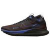 React Pegasus Trail 4 GORE-TEX Velvetově hnědá modrá Pánské tenisky Černá Zlatavě mechová Středně modrá FB2193-200
