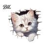 Self Adhesive Sticker Broken Wall Cat Toilet Sticker, Peel And Stick Decor PVC Bathroom Decal Decal, Removable Waterproof Lid for Stickers