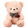 Rose Teddybär Puppe Plüschtier Große Bärenpuppe Liebeskissen Puppe Mädchen Valentinstag Geschenk