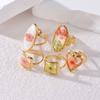 Geometric Summer Transparent Ring Stainless Steel Open Ring Retro Eternal Flower Ring  Couple