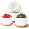 FaceColor Succulent Ceramic Cactus Hexagonal with Drain Tray White Suitable for Living Garden Set of 4 Not Pot, Pot, Planter, Pot, (Size 9106 CM),