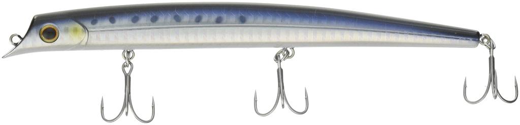 Grundausstattung Soltec Paragus 160 01 HG Sardine 38191