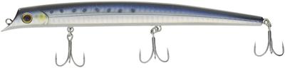 Grundausstattung Soltec Paragus 160 01 HG Sardine 38191