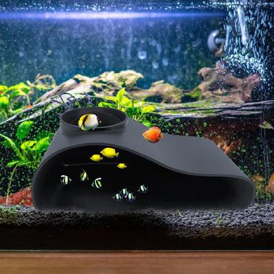 Balık & Akvaryum Hayvanları – Akvaryum dekorasyonları