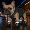 4PCS Reflective Dog Velvet Insulated Snow Boots Warm Anti-slip Dog Boots Dog Footwear Cat Dog