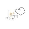 Zoomer Carburetor Qiilu Carburetor Repair Kit, 16PCS Carburetor Repair Kit Rebuild Tool Fits NPS50 Ruckus/Zoomer 2003-2019