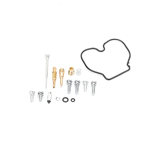 Zoomer Carburetor Qiilu Carburetor Repair Kit, 16PCS Carburetor Repair Kit Rebuild Tool Fits NPS50 Ruckus/Zoomer 2003-2019