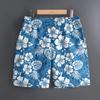 Erkek Hawaii 3D Bitki Yaz Desenli Plaj Şortu Hızlı Kuruyan Dış Mekan Günlük Spor Şortları Moda Erkek Şortları