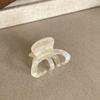 Korean Fashion High Ponytail Mini Claw Clip: 2026 Chic Hair Accessory