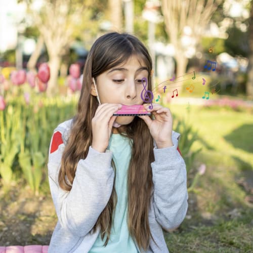 Blues Harmonica - 10 Holes, 20 Tones Beginner Mouth Organ, Professional Grade Musical Instrument | Educational Toy for Kids, Adults, Students, and Ear