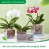 Square Transparent Plastic Flower Pot for Phalaenopsis Orchids, Breathable, Ideal for Living Room or Indoor Window Sill