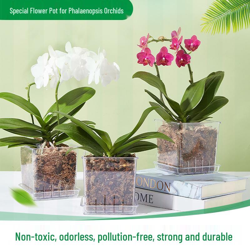 Square Transparent Plastic Flower Pot for Phalaenopsis Orchids, Breathable, Ideal for Living Room or Indoor Window Sill