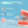 4Pcs Clean Braces Adult Toothbrushes Dental Interdental Brush Soft Bristle Concave Shaped Small Head Toothbrush For Oral Health