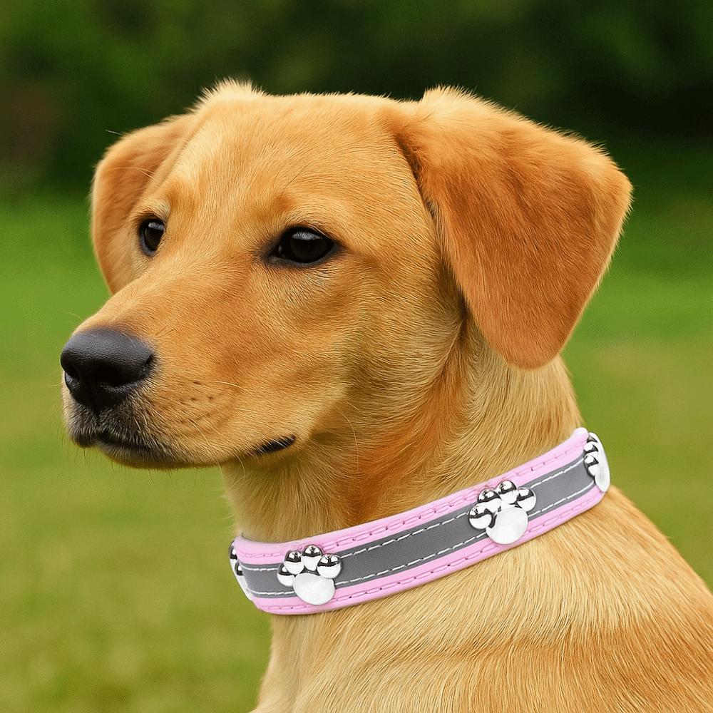 Adjustable Reflective Dog Collar Leather Dog Necklace Durable Rivets Pet Collar  Pet Supplies
