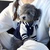 Warm Pet Baseball Jackets Fleece Puppy Spring Clothes Thickened Puppy Coat  Pet Wear