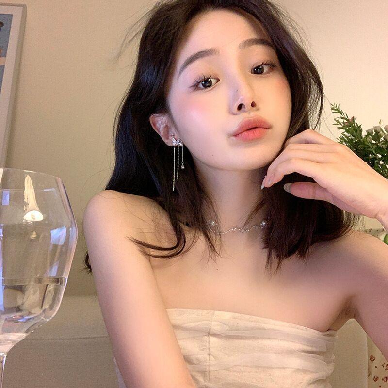 Light luxury niche design long fringed earrings female super fairy ins butterfly earrings fashion temperament cold wind