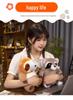 Plush Animal Toy: Panda, Koala, Sloth, Raccoon Mini Dolls