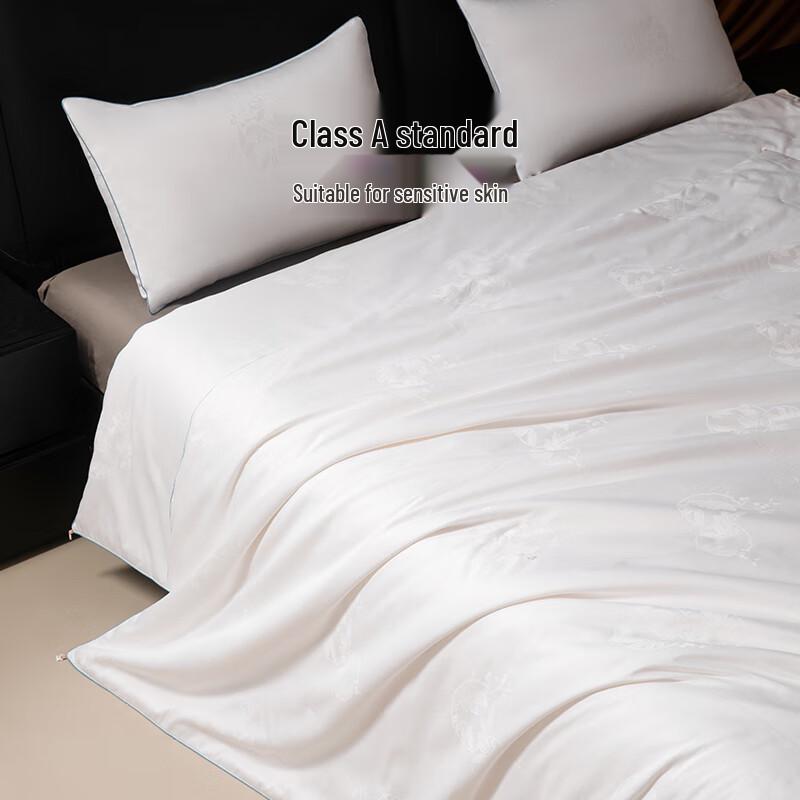 SILKUEEN Lanyu 100% Mulberry Silk Duvet