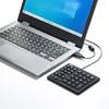 Sanwa Supply Waterproof and Dustproof Numeric Keypad NT-BS1BK Black