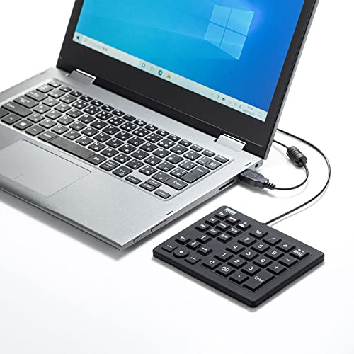 Sanwa Supply Waterproof and Dustproof Numeric Keypad NT-BS1BK Black