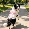 Breathable Lightweight Dog Tshirt Pet Vest Summer Wear Comfortable Elastic Soft for Small Dogs Cats Cute Design Pet Clothing Summer Outfit