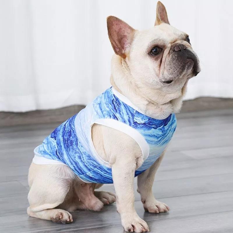 cooling clothes for dogs