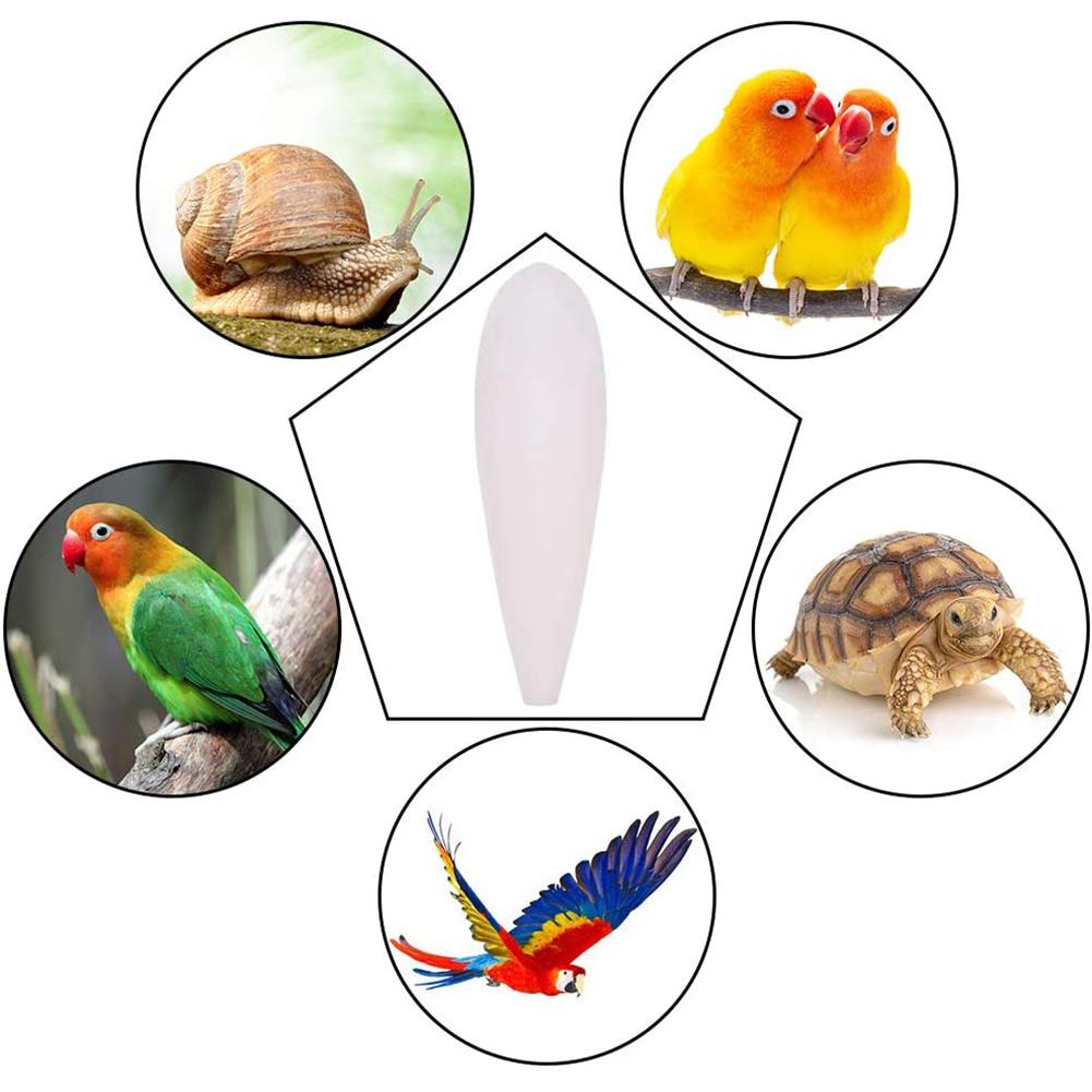 Ossi Di Seppia Per Uccelli Da 10 Pezzi - Ossi Di Seppia Lucidi Naturali, Giocattoli Da Masticare