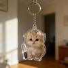 1PC Acrylic Design Keychain Marker Creativity Pendant Fun Party Gift DIY Decoration Cat Keychain Clear