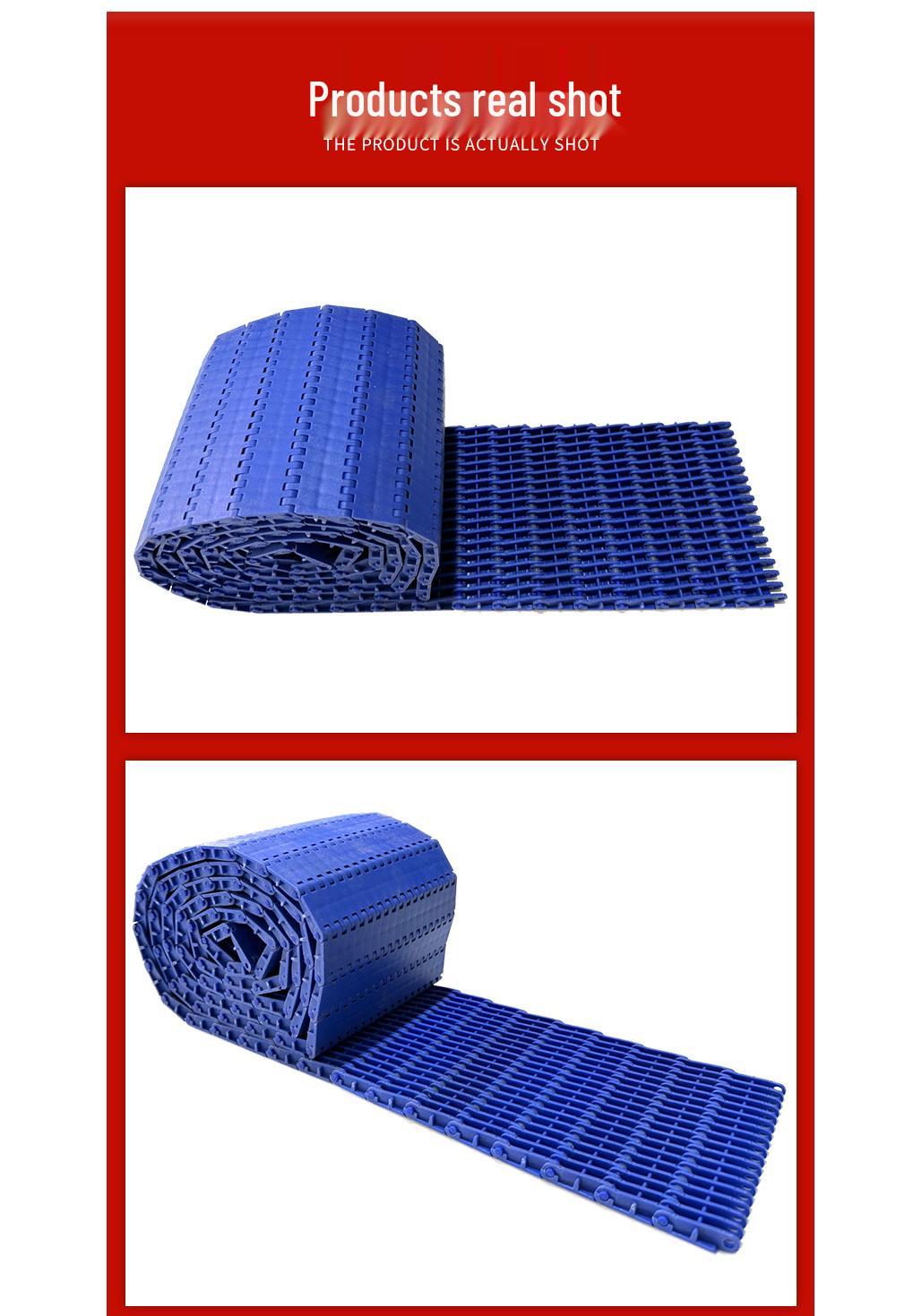 900 Type Plastic Mesh Raised Rib Conveyor Belt with 27.2 Pitch for Sterilizer