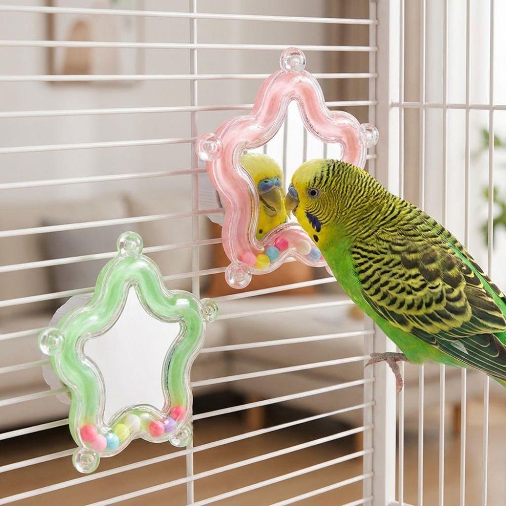 Colorful Beads Star Rotating Parrot Mirror Toy Climb Bite Chew Wear-Resisting Bead Parrot Chew Spinning Toy Wavy Flower Star